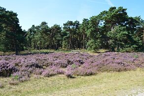 Chalet With Balcony in Veluwe