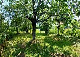 Hideaway in Villeneuve-d'allier