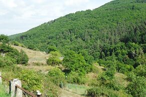 Hideaway in Villeneuve-d'allier