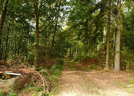 Comfortable Apartment With Terrace