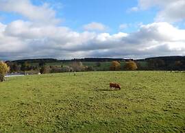 Comfortable Apartment With Terrace