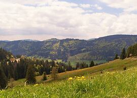 Apartment With a View