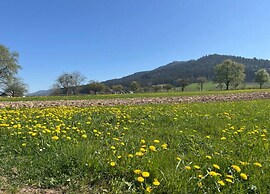 Apartment With a View