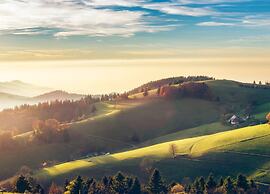 Apartment With a View