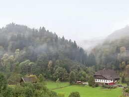 Apartment With a View