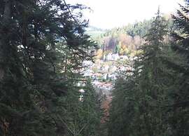 Apartment With a View