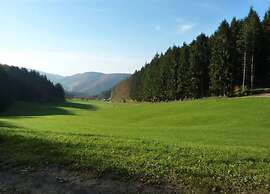 Apartment With a View