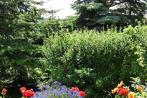 Holiday Home in Cattenstedt Harz With Garden