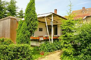 Holiday Home in Cattenstedt Harz With Garden