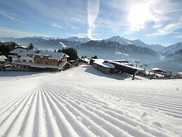 Apartment in Mittersill Near the ski Area