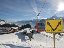 Apartment in Mittersill Near the ski Area