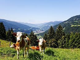 Chalet in Stadl an der Mur / Styria Near ski Area