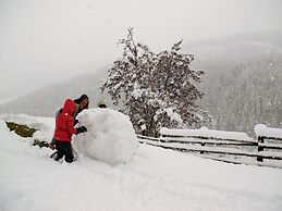 Premium Chalet in Innerkrems With Sauna