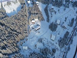 Premium Chalet in Innerkrems With Sauna