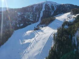 Premium Chalet in Innerkrems With Sauna