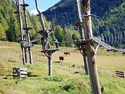 Premium Chalet in Innerkrems With Sauna