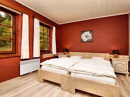 Villa in the Ardennes With Fitness Room and Sauna