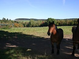 House in the Belgian Countryside, Ideal Base for Many Fine Excursions
