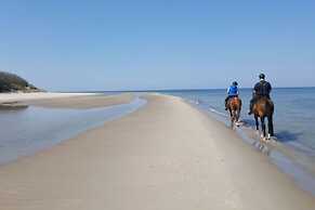 Modernes Ferienhaus mit Sauna in Wiek am Meer