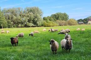 Modernes Ferienhaus mit Sauna in Wiek am Meer