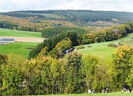 Holiday Home in Sellerich With Forest