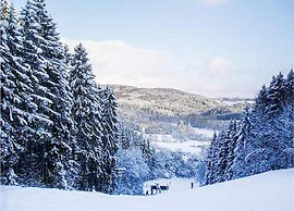 Holiday Home in Sellerich With Forest