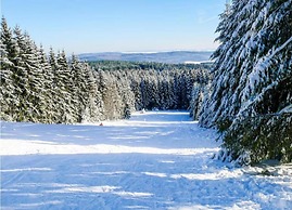Holiday Home in Sellerich With Forest
