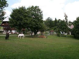 Converted old Mill in St. Georgen Inblack Forest