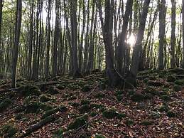 Holiday Flat With Terrace in the Westerwald