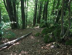 Holiday Flat With Terrace in the Westerwald