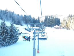 Chalet in Gerardmer Near Ski Slopes