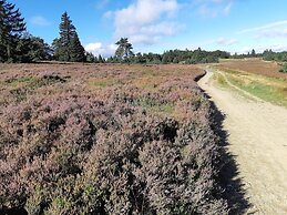 Home in Wissinghausen With Private Sauna