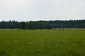 Detached Bungalow With Outdoor Fireplace