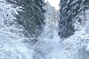 Holiday Home With Garden in Hellenthal Eifel