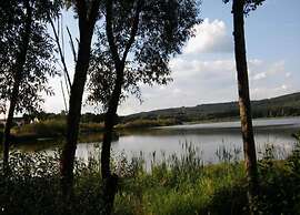 Spacious Holiday Home in Ulmen With Garden
