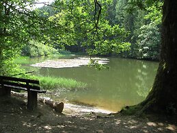 Holiday Home Near the Hiking Trails in Bad Laasphe