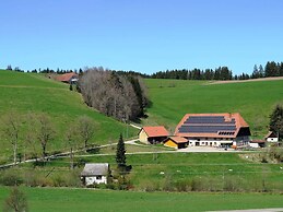 Holiday Home With Terrace in the Black Forest