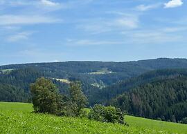 Holiday Home With Terrace in the Black Forest