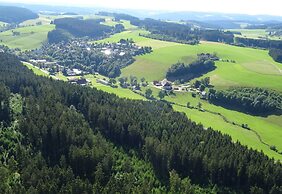 Holiday Home With Terrace in the Black Forest