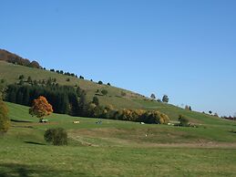 Apartment in Gutenbach With Nearby Forest