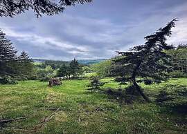 Apartment in Gutenbach With Nearby Forest