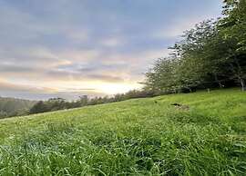 Apartment in Gutenbach With Nearby Forest