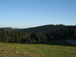 Apartment in Gutenbach With Nearby Forest