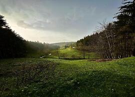 Apartment in Gutenbach With Nearby Forest