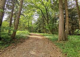 Apartment in Gutenbach With Nearby Forest
