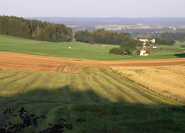 Apartment in Gutenbach With Nearby Forest