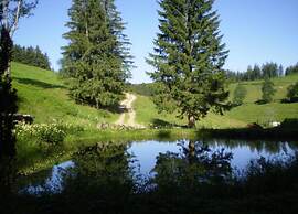 Apartment in Gutenbach With Nearby Forest