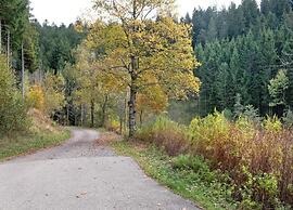 Apartment in Gutenbach With Nearby Forest