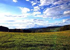 Flat With Sauna in the Bavarian Forest