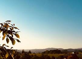 Flat With Sauna in the Bavarian Forest
